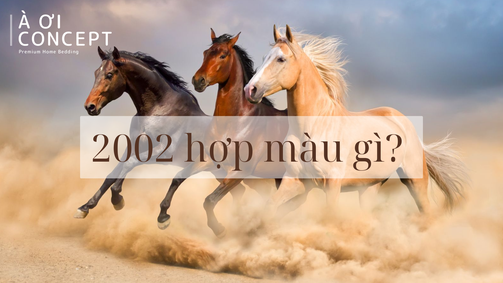 Hinh anh ve sac xanh la cay tuong sinh va may man cho nguoi menh Moc sinh nam 2002